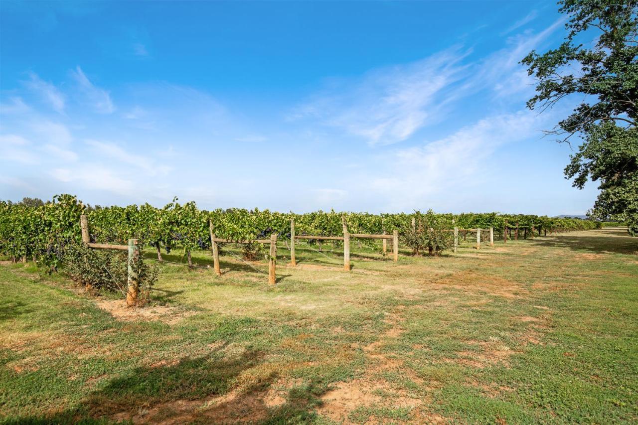 Milawa Vineyard Views - Guesthouse 1 ภายนอก รูปภาพ